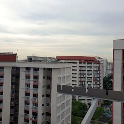 Blk 446 Tampines Street 42 (Tampines), HDB 3 Rooms #608875811